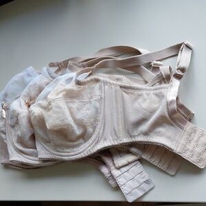 Set of 3 Wacoal Lace Bra - Size 34DDD